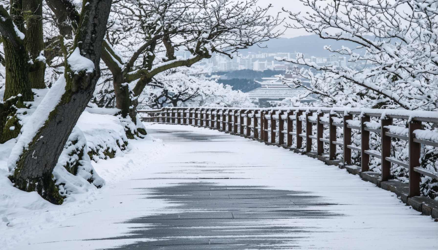 Bereite dich vor, Japan: Plötzlicher winterlicher Rückschlag offenbart die Unvorhersehbarkeit der Natur